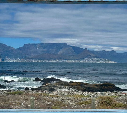 Robbin Island Tour